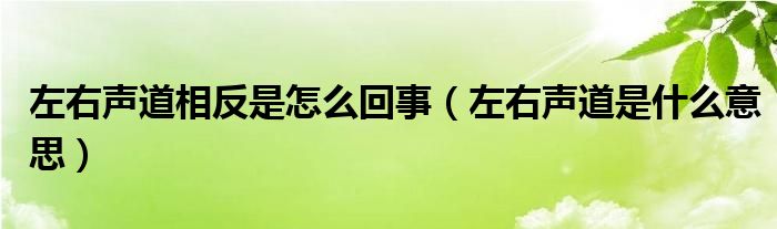 左右声道相反是怎么回事左右声道是什么意思 草根科学网