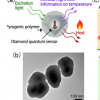 纳米金刚石传感器既可作为热源又可作为温度计