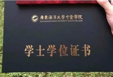 教育新闻：大学毕业证和大学学位证的关系 哪一个更加重要