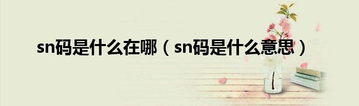 sn码是什么在哪（sn码是什么意思）