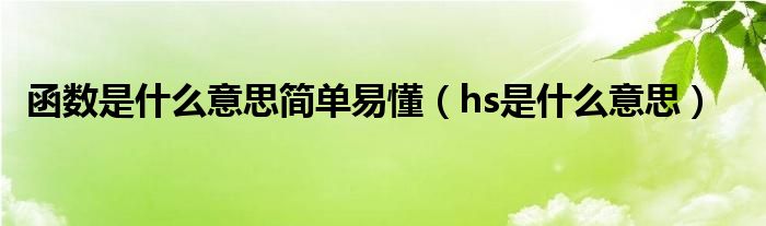 函数是什么意思简单易懂（hs是什么意思）