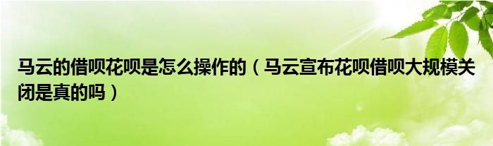 马云的借呗花呗是怎么操作的（马云宣布花呗借呗大规模关闭是真的吗）