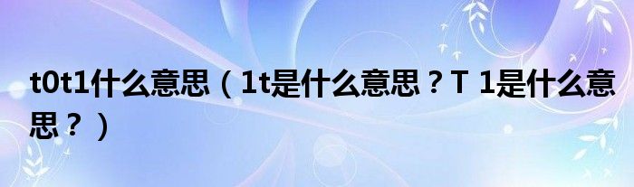 t0t1什么意思（1t是什么意思？T 1是什么意思？）