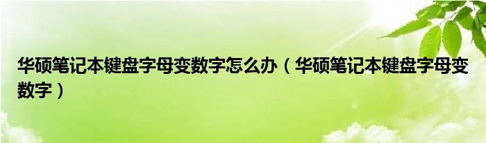 华硕笔记本键盘字母变数字怎么办（华硕笔记本键盘字母变数字）