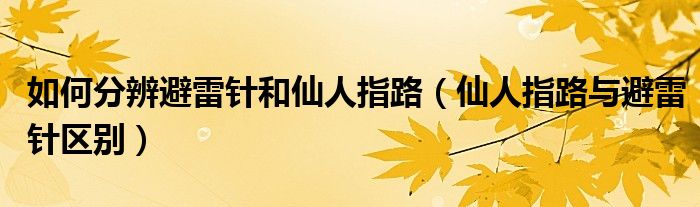 如何分辨避雷针和仙人指路（仙人指路与避雷针区别）