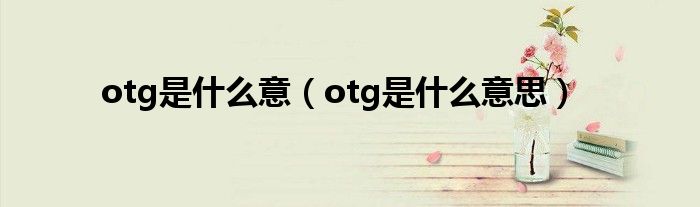 otg是什么意（otg是什么意思）