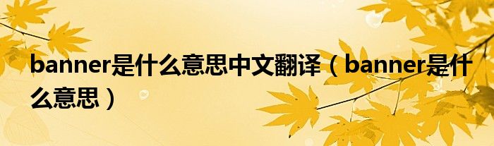 banner是什么意思中文翻译（banner是什么意思）