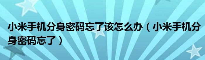 小米手机分身密码忘了该怎么办（小米手机分身密码忘了）