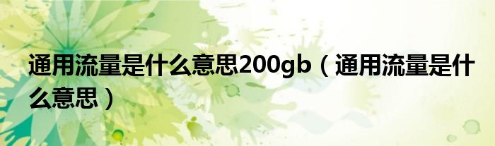 通用流量是什么意思200gb（通用流量是什么意思）