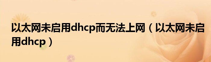 以太网未启用dhcp而无法上网（以太网未启用dhcp）