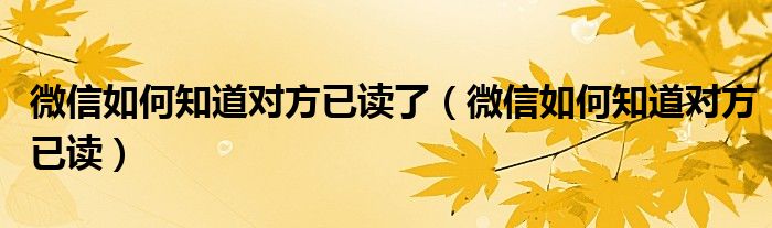 微信如何知道对方已读了（微信如何知道对方已读）