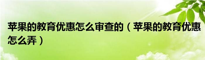 苹果的教育优惠怎么审查的（苹果的教育优惠怎么弄）