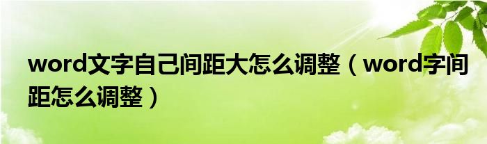 word文字自己间距大怎么调整（word字间距怎么调整）