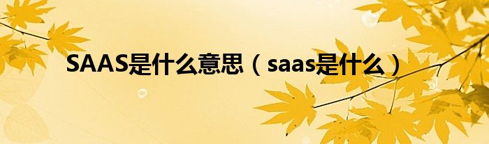 SAAS是什么意思（saas是什么）