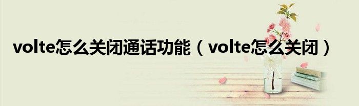 volte怎么关闭通话功能（volte怎么关闭）