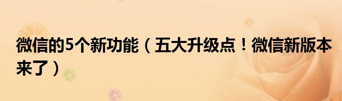 微信的5个新功能（五大升级点！微信新版本来了）