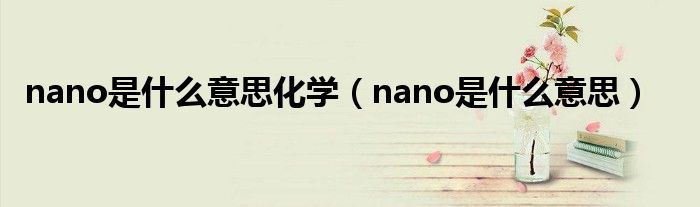 nano是什么意思化学（nano是什么意思）