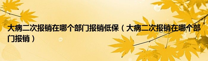 大病二次报销在哪个部门报销低保（大病二次报销在哪个部门报销）