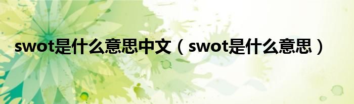 swot是什么意思中文（swot是什么意思）