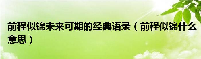 前程似锦未来可期的经典语录（前程似锦什么意思）