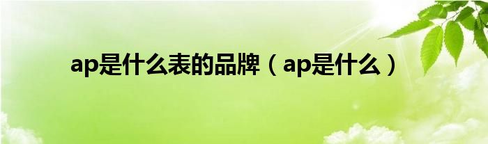 ap是什么表的品牌（ap是什么）