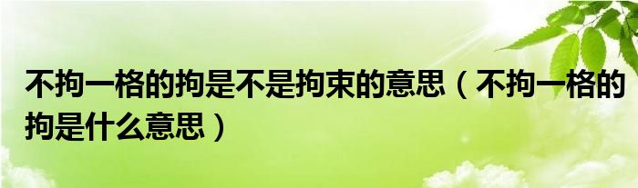 不拘一格的拘是不是拘束的意思（不拘一格的拘是什么意思）