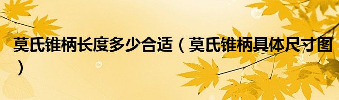 莫氏锥柄长度多少合适（莫氏锥柄具体尺寸图）