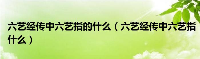 六艺经传中六艺指的什么（六艺经传中六艺指什么）