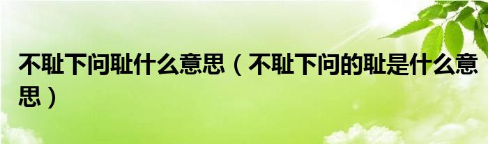 不耻下问耻什么意思（不耻下问的耻是什么意思）