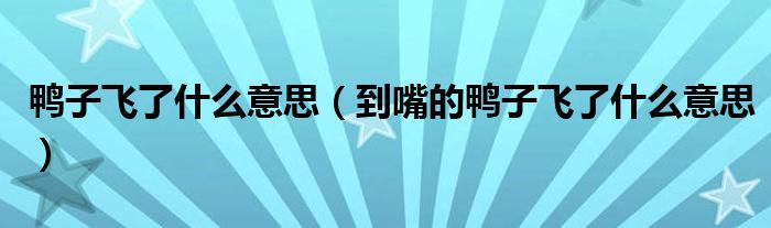 鸭子飞了什么意思（到嘴的鸭子飞了什么意思）