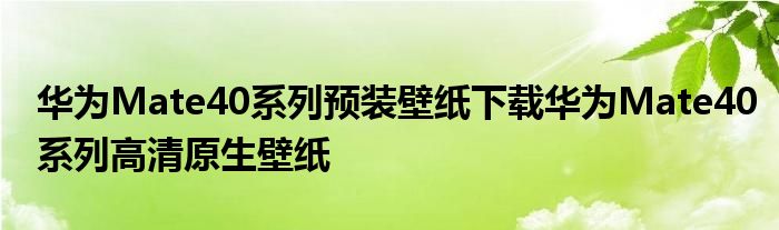 华为Mate40系列预装壁纸下载华为Mate40系列高清原生壁纸