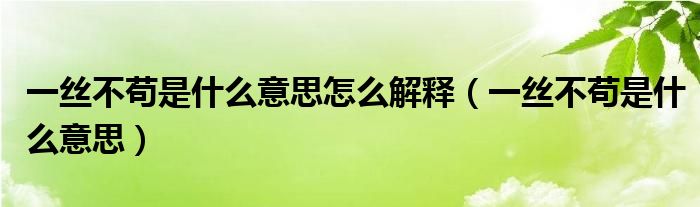 一丝不苟是什么意思怎么解释（一丝不苟是什么意思）