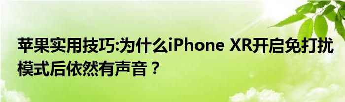 苹果实用技巧:为什么iPhone XR开启免打扰模式后依然有声音？