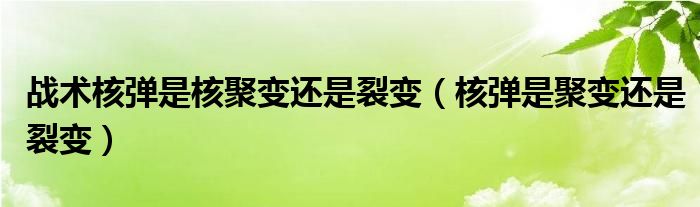 战术核弹是核聚变还是裂变（核弹是聚变还是裂变）