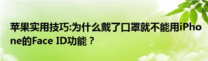 苹果实用技巧:为什么戴了口罩就不能用iPhone的Face ID功能？