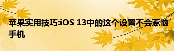 苹果实用技巧:iOS 13中的这个设置不会惹恼手机