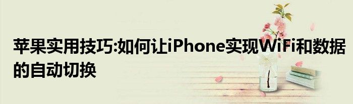 苹果实用技巧:如何让iPhone实现WiFi和数据的自动切换