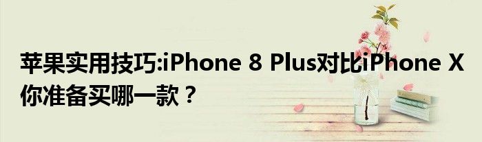 苹果实用技巧:iPhone 8 Plus对比iPhone X 你准备买哪一款？