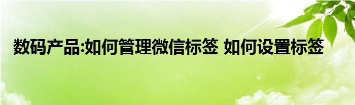 数码产品:如何管理微信标签 如何设置标签