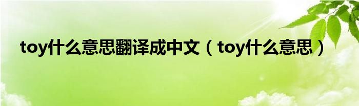 toy什么意思翻译成中文（toy什么意思）