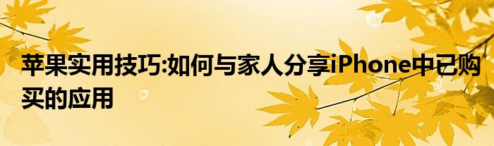 苹果实用技巧:如何与家人分享iPhone中已购买的应用