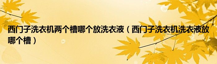 西门子洗衣机两个槽哪个放洗衣液（西门子洗衣机洗衣液放哪个槽）