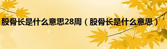 股骨长是什么意思28周（股骨长是什么意思）