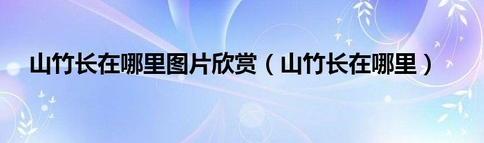 山竹长在哪里图片欣赏（山竹长在哪里）