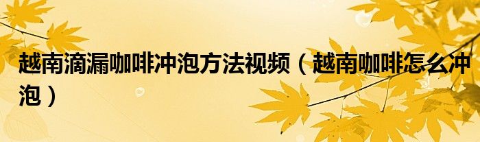 越南滴漏咖啡冲泡方法视频（越南咖啡怎么冲泡）