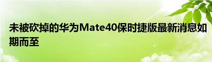 未被砍掉的华为Mate40保时捷版最新消息如期而至