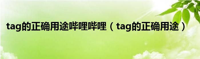 tag的正确用途哔哩哔哩（tag的正确用途）