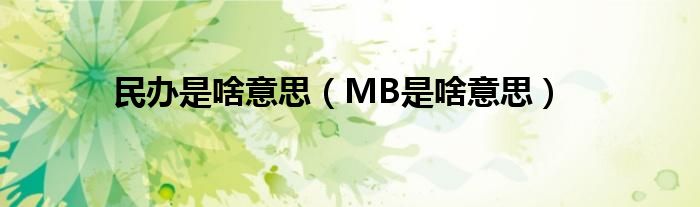 民办是啥意思（MB是啥意思）