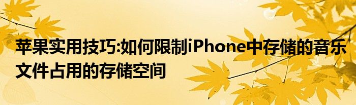 苹果实用技巧:如何限制iPhone中存储的音乐文件占用的存储空间