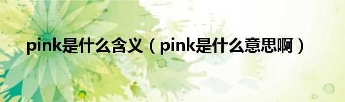 pink是什么含义（pink是什么意思啊）